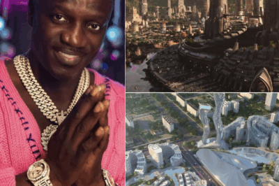 Le Vaste Projet Urbain du Chanteur Akon Ne Sera Qu’un Souvenir au Sénégal.