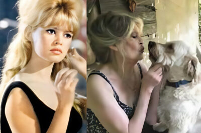 Brigitte Bardot : 91 ans de légende, entre icône du cinéma et combat pour la protection animale mais accusée d’« incitation à la haine raciale »